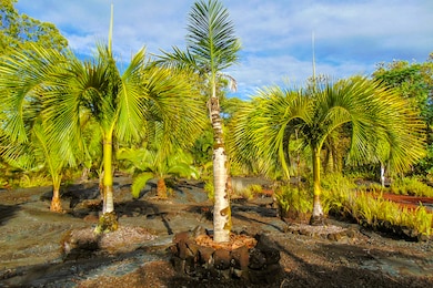 15-2003 3rd Ave, Hawaiian Paradise Park, HI 96749 - photo 3