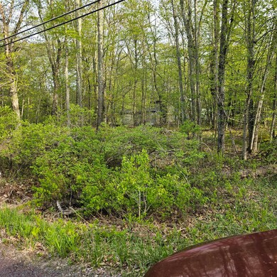 130 Wagner Way, Pocono Lake, PA 18347 - photo 5