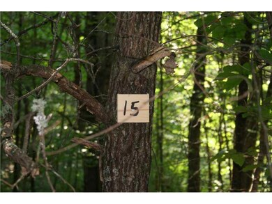 Land/Lot. Lot number 15.