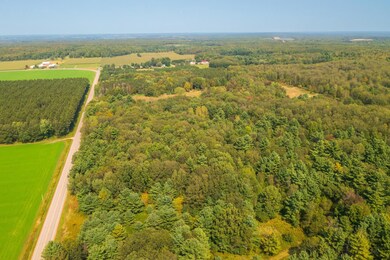 235.05 acres Boundary Rd, Hatley, WI 54471 - photo 6