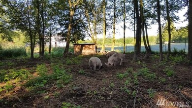 8607 Valley View Rd, Custer, WA 98240 - photo 3