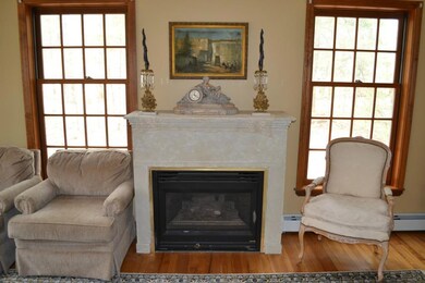 Propane fireplace in the living room