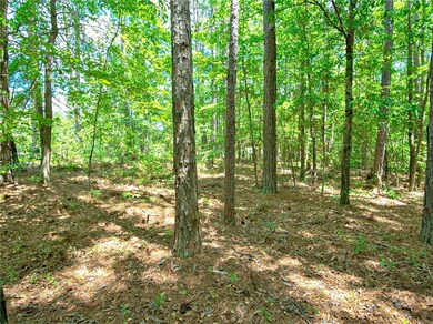 View of tree filled area
