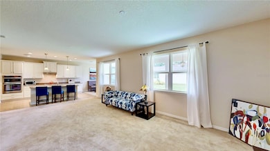 6626 Bridgewater Village Rd, Windermere, FL 34786 - photo 7