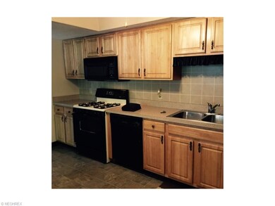 26717 Lake of the Falls Blvd, Olmsted Falls, OH 44138 - photo 2