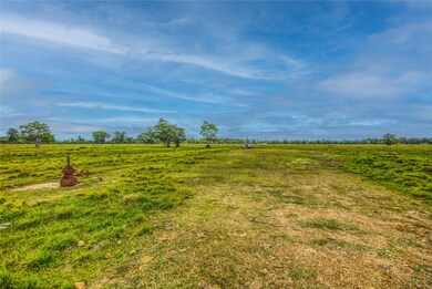 4435 County Road 172, Alvin, TX 77511 - photo 4