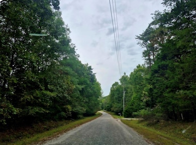 0 Wildflower Ln unit 18, Dillwyn, VA 23936 - photo 5