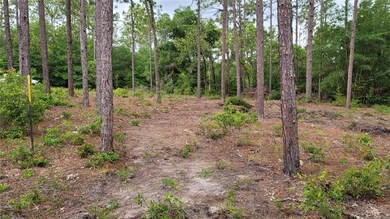 20775 SW 93rd Lane Rd, Dunnellon, FL 34431 - photo 6