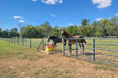 7531 Barlow Ln, Lascassas, TN 37085 - photo 4