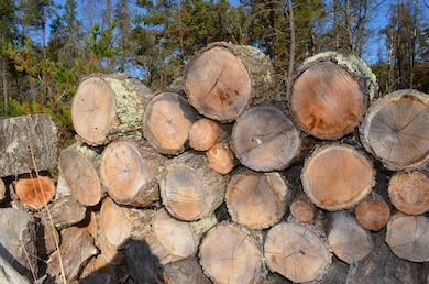 00 28th St, Everett Township, MI 49349 - photo 4