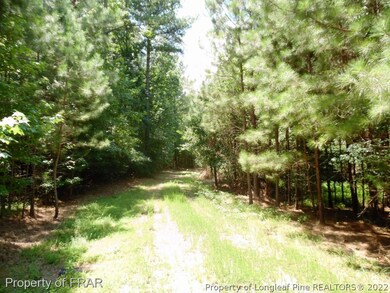 0 Nassau Lot 17 Trail unit 471067, Pittsboro, NC 27312 - photo 7