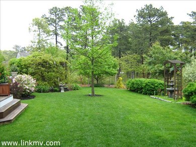 back yard