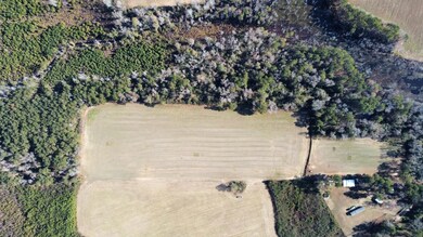 20.85 Acres Highway 917, Nichols, SC 29581 - photo 6