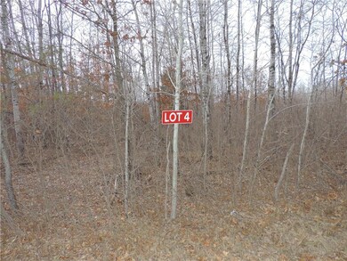 LOT 4 Minerva Dam Rd, Swiss, WI 54830 - photo 2