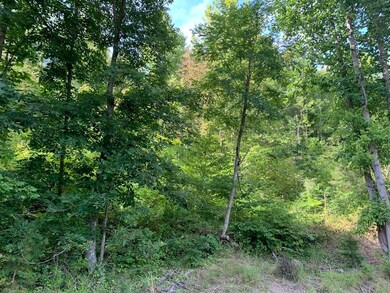 0 Cooksey Fork, Blaine, KY 41124 - photo 7