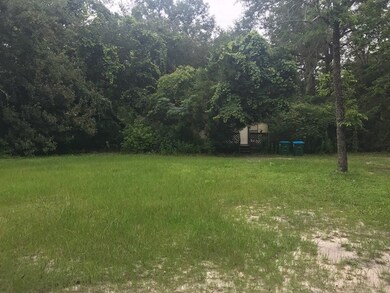 0 Catherine Rd unit 286286, Crawfordville, FL 32327 - photo 2