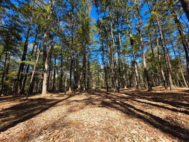 Country living near city