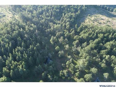 Block 5 Lot 5 Sheridan View Acres, Sheridan, OR 97378 - photo 7