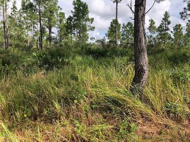 8010 Carillo Dr, Sebring, FL 33872 - photo 2