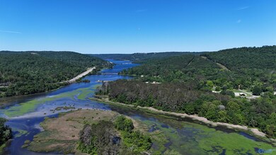 11 acres Stewart Hollow Rd, Grant, AL 35747 - photo 4