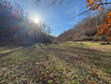 310 Tanner Fork, Shock, WV 26638 - photo 2