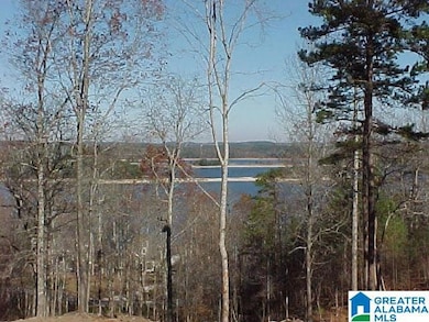 LOT # 20 Overlook Dr, Wedowee, AL 36278 - photo 3