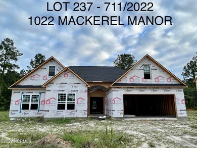 1022 Mackerel Manor, New Bern, NC 28562 - photo 4