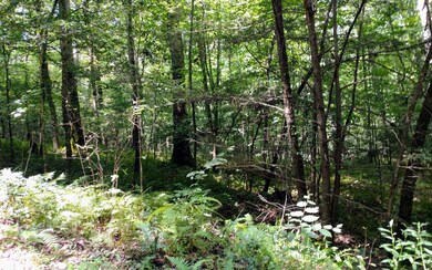 Lot 3 Maple Rest Ln, Ellijay, GA 30540 - photo 2