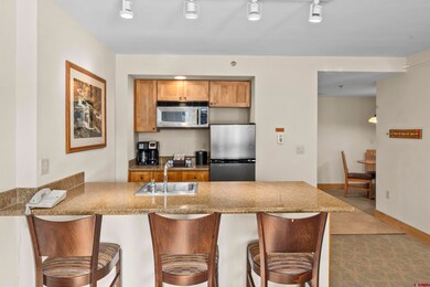 6 Emmons Rd unit 204, Crested Butte, CO 81225 - photo 5