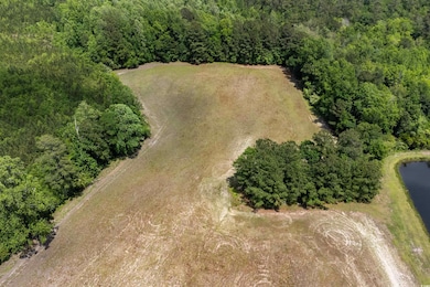 Bird's eye view with a water view and a wooded vie