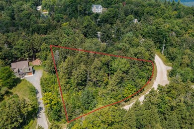 C-18 High Meadow Rd, Winhall, VT 05340 - photo 3