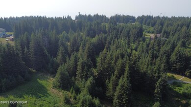 DJI_0808
