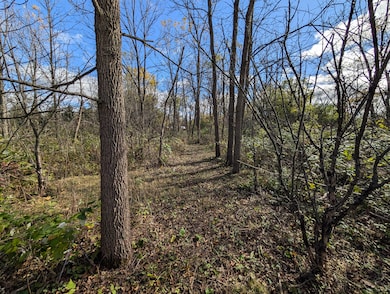 PXL_20251023_171157513