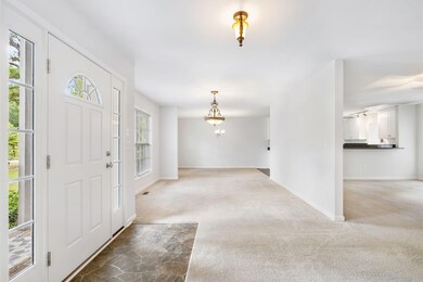 11-web-or-mls-DSC06281
