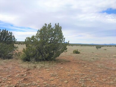 65 Poppy Rd, Ash Fork, AZ 86320 - photo 5