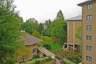 Grounds 2