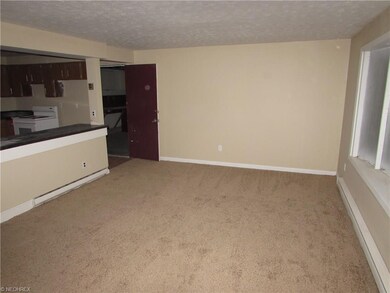 528 Cove Beach Ave, Sheffield Lake, OH 44054 - photo 4