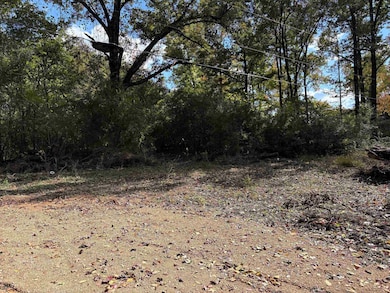 0 Bethuel Rd unit 17, Unincorporated, TN 38053 - photo 4