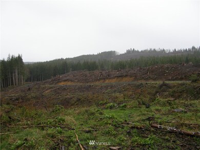 0 M.P. 63 U S 101, Raymond, WA 98577 - photo 4