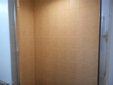 Interior details with tiled shower