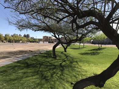 Greenbelt by Community Pool