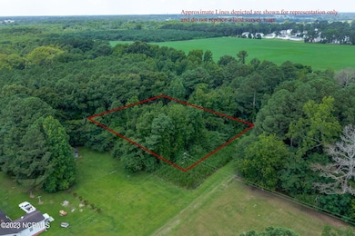 0 Hickorynut Dr, La Grange, NC 28551 - photo 3