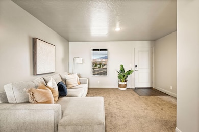 4-web-or-mls-_M3A8093