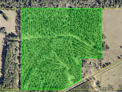 TBD Louisiana 155, Coushatta, LA 71019 - photo 6