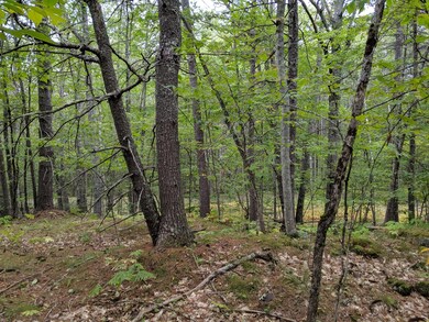 IMG_20190917_150528