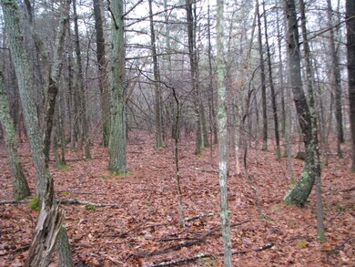 land pic 006