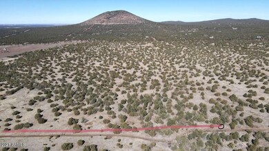 Full Aerial With Line on South Side of P