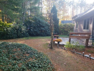 Back yard