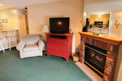 160 Deer Park Dr unit 146 C, Woodstock, NH 03262 - photo 6