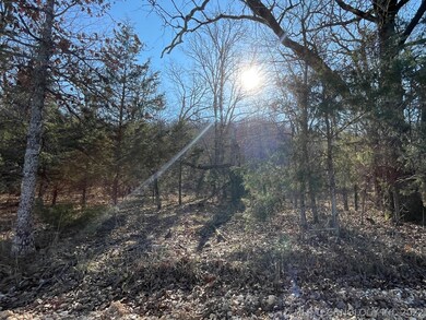 329 Bailey Blvd, Tahlequah, OK 74464 - photo 3